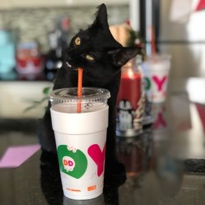 Meet your Posher, Toni